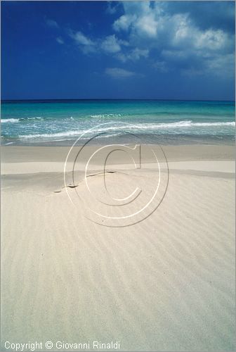 TUNISIA - (Kelibia) - spiaggia a nord est presso Hamman El Ghezaz