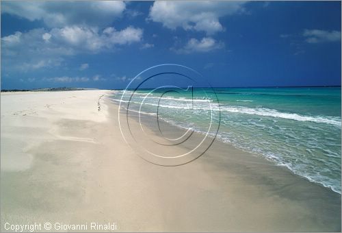 TUNISIA - (Kelibia) - spiaggia a nord est presso Hamman El Ghezaz