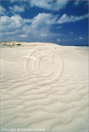 TUNISIA - (Kelibia) - spiaggia a nord est presso Hamman El Ghezaz