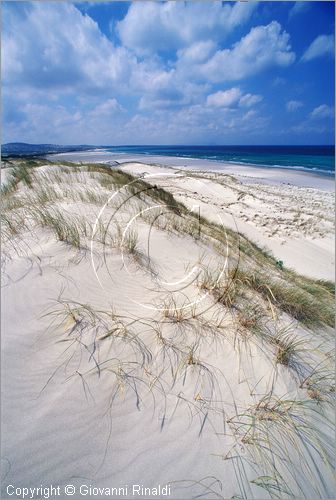 TUNISIA - (Kelibia) - spiaggia a nord est presso Hamman El Ghezaz