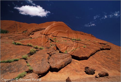 AUSTRALIA CENTRALE - Uluru Kata Tjuta National Park - Ayres Rock - la base della roccia presso Mala Walk