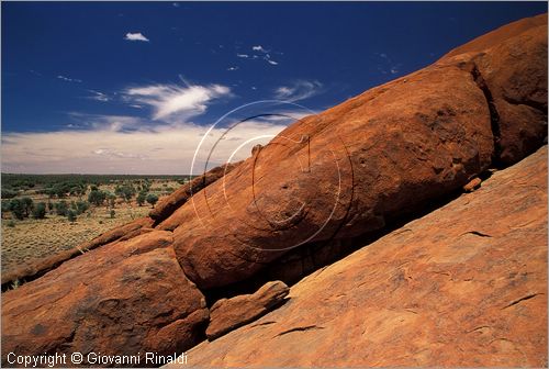 AUSTRALIA CENTRALE - Uluru Kata Tjuta National Park - Ayres Rock - alla base della roccia presso Mala Walk