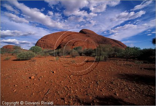 AUSTRALIA CENTRALE - Uluru Kata Tjuta National Park - Monti Olgas - veduta da ovest