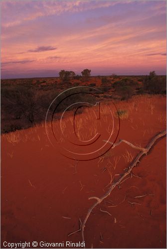 AUSTRALIA CENTRALE - Uluru Kata Tjuta National Park - tramonto sulle dune di sabbia rossa