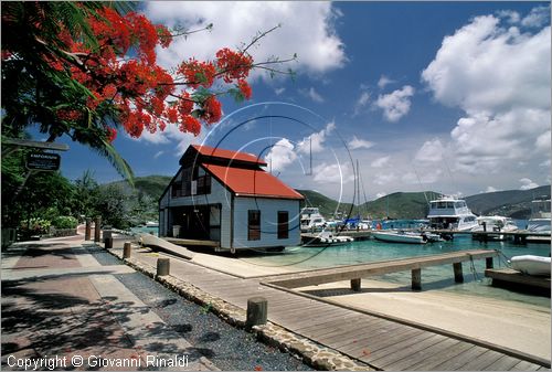 CARAIBI - ISOLE VERGINI BRITANNICHE - ISOLA DI VIRGIN GORDA - Bitter End