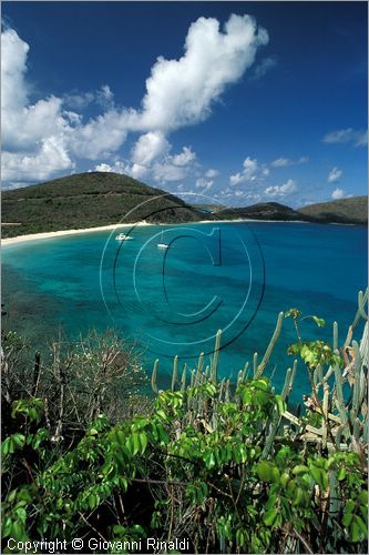 CARAIBI - ISOLE VERGINI BRITANNICHE - ISOLA DI VIRGIN GORDA - Pond Bay e Savannah Bay