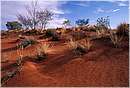 watarrka0001.jpg