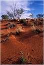 watarrka0002.jpg