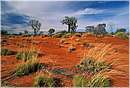 watarrka0003.jpg