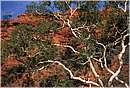 watarrka0004.jpg