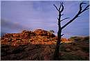 watarrka0006.jpg