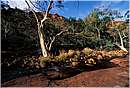 watarrka0021.jpg