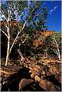 watarrka0022.jpg