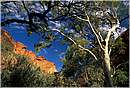 watarrka0023.jpg