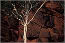 watarrka0024.jpg