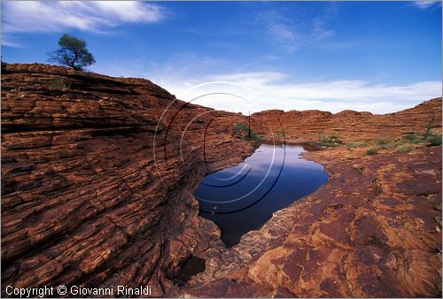 AUSTRALIA CENTRALE - Watarrka National Park - paesaggio sul bordo superiore del Kings Canyon - una pozza d'acqua si  formata tra le erosioni della roccia rossa