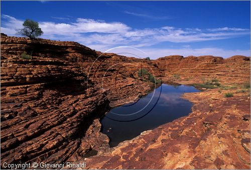 AUSTRALIA CENTRALE - Watarrka National Park - paesaggio sul bordo superiore del Kings Canyon - una pozza d'acqua si  formata tra le erosioni della roccia rossa