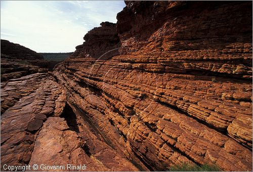 AUSTRALIA CENTRALE - Watarrka National Park - paesaggio sul bordo superiore del Kings Canyon