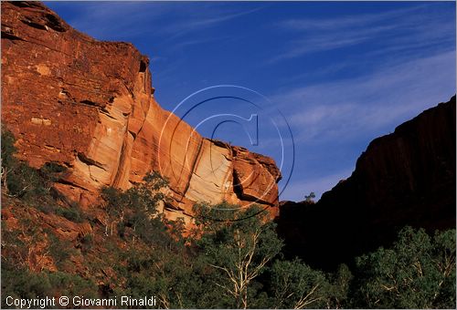 AUSTRALIA CENTRALE - Watarrka National Park - paesaggio del Kings Creek all'interno del Kings Canyon