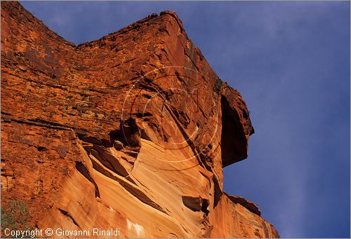 AUSTRALIA CENTRALE - Watarrka National Park - paesaggio del Kings Creek all'interno del Kings Canyon