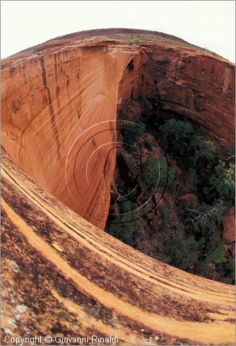 AUSTRALIA CENTRALE - Watarrka National Park - il bordo superiore della parete del Kings Canyon