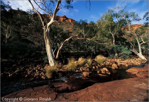 AUSTRALIA CENTRALE - Watarrka National Park - paesaggio del Kings Creek all'interno del Kings Canyon