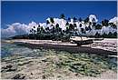 zanzibar0004.jpg