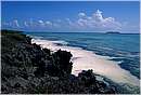 zanzibar0005.jpg