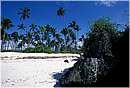 zanzibar0009.jpg