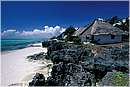 zanzibar0010.jpg