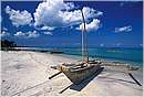 zanzibar0016.jpg