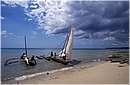 zanzibar0019.jpg