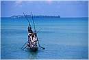 zanzibar0020.jpg