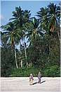 zanzibar0022.jpg