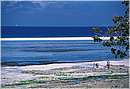 zanzibar0031.jpg