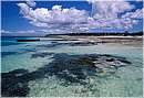 zanzibar0032.jpg