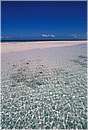 zanzibar0035.jpg