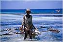 zanzibar0038.jpg