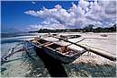 zanzibar0040.jpg