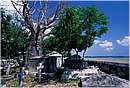 zanzibar0052.jpg