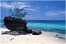 zanzibar0056.jpg