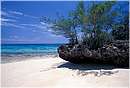 zanzibar0057.jpg