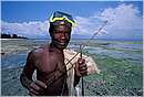 zanzibar0058.jpg