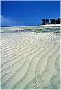 zanzibar0059.jpg