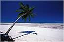zanzibar0061.jpg