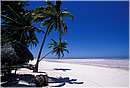 zanzibar0062.jpg