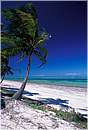 zanzibar0063.jpg
