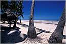 zanzibar0064.jpg