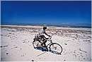 zanzibar0066.jpg