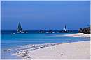 zanzibar0073.jpg